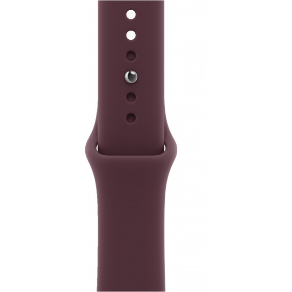 Apple Watch S12 42 mm Dark Bronze / Aluminum Case