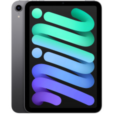 Купить Apple iPad Mini 6 (2021) 256GB Wi-Fi Space Gray