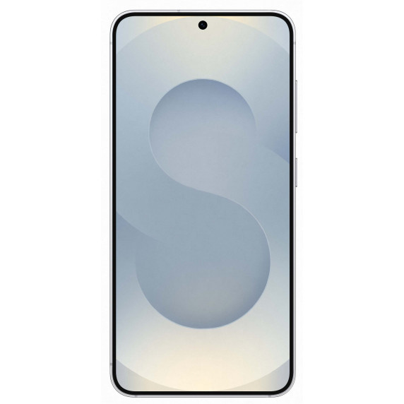 Samsung Galaxy S25 12/128Gb Silver Shadow