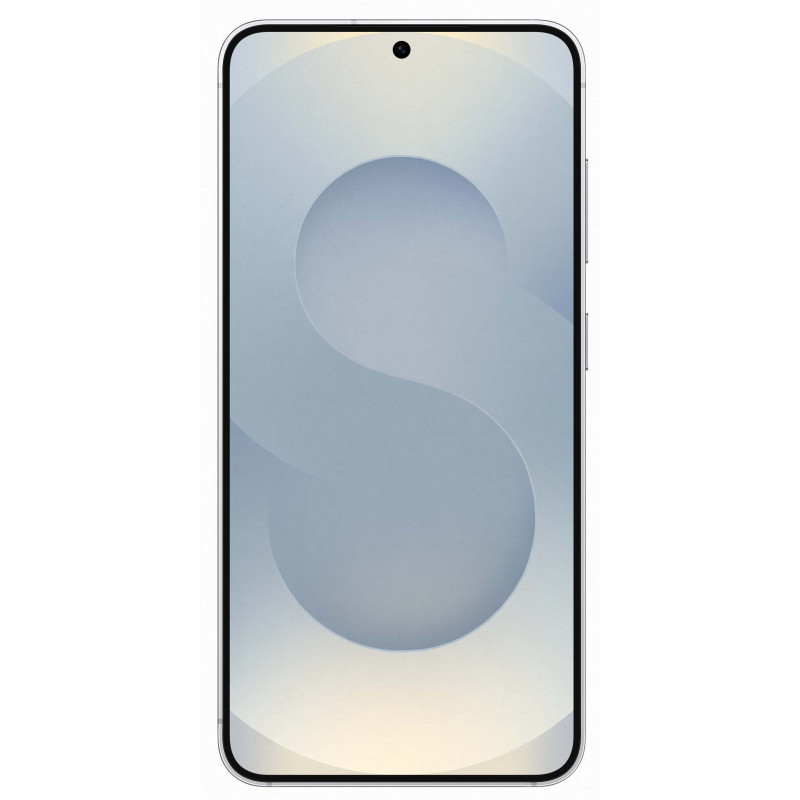 Samsung Galaxy S25 12/128Gb Silver Shadow