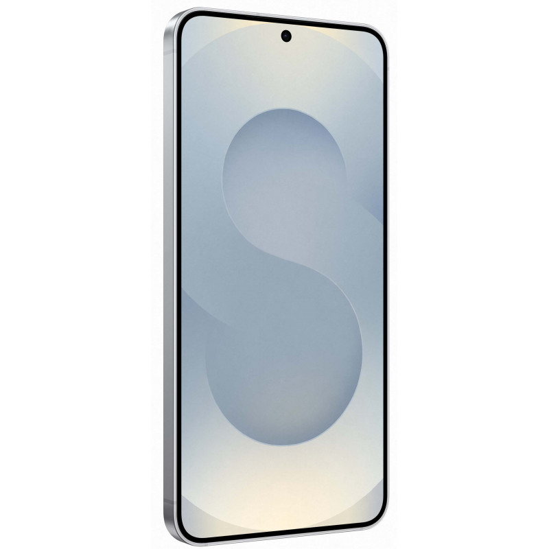 Samsung Galaxy S25 12/128Gb Silver Shadow