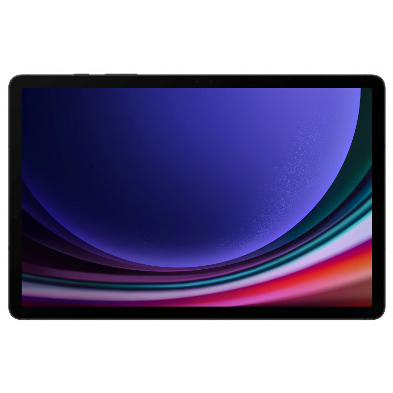 Samsung Galaxy Tab S9 256GB Graphite