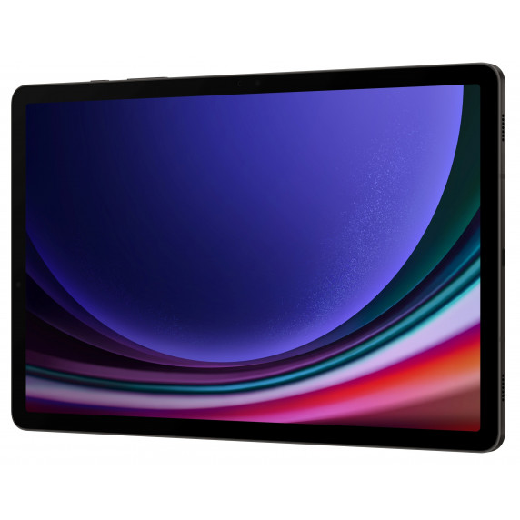 Samsung Galaxy Tab S9 256GB Graphite