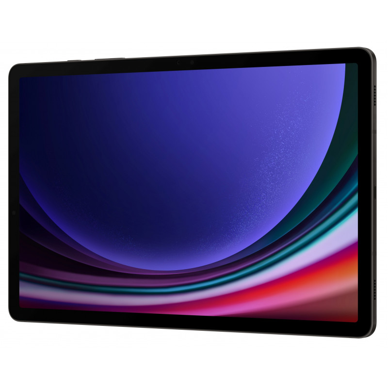 Samsung Galaxy Tab S9 256GB Graphite
